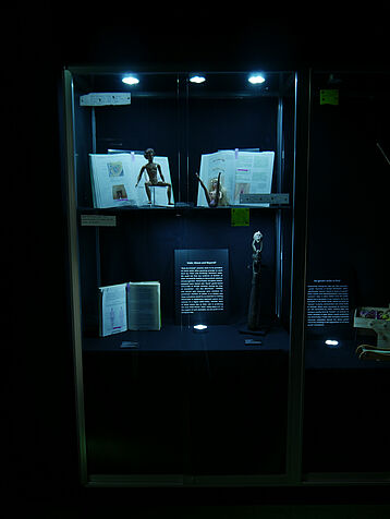 detailed picture of the completed exhibition