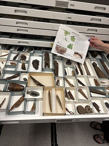 picture of museum collection