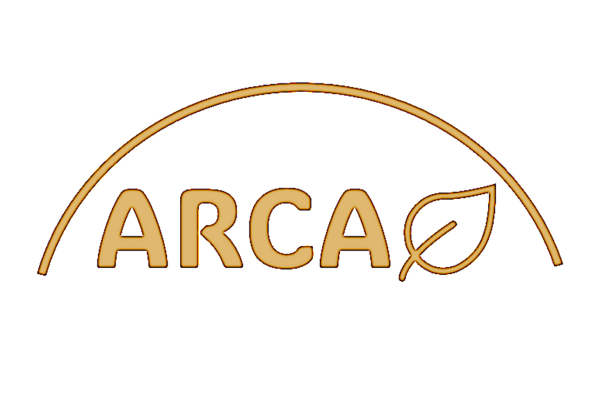 Arca Logo