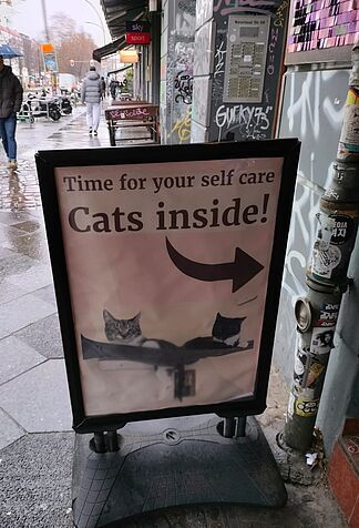 Foto Schild Katzencafé