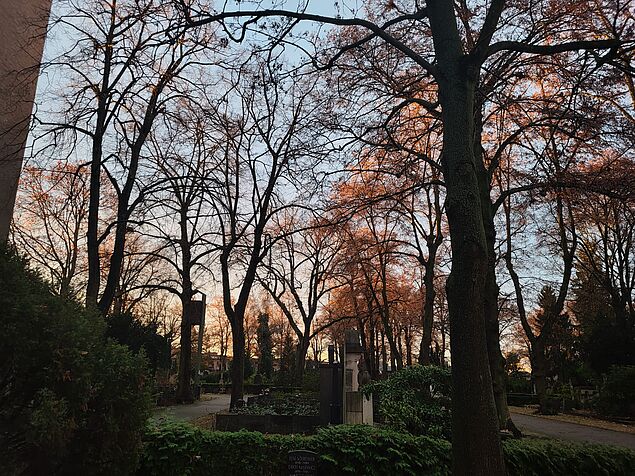 Foto Friedhof Berlin