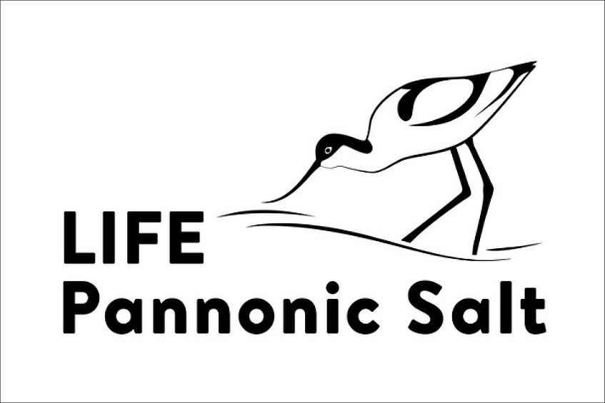 Logo Pannonic Salt