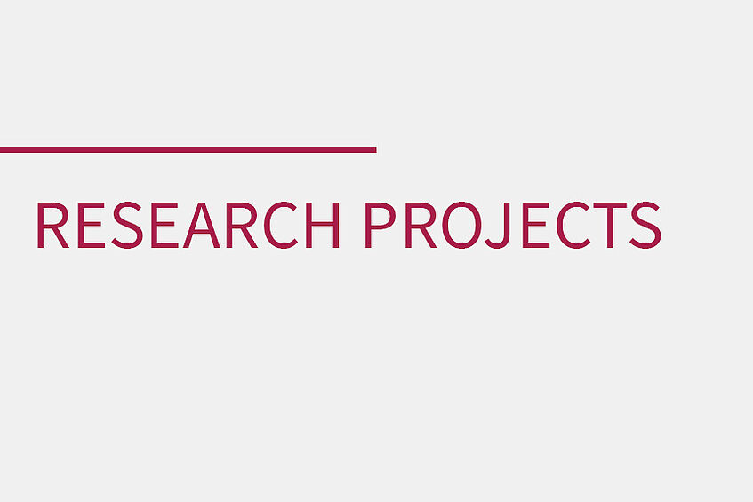 link to research projects