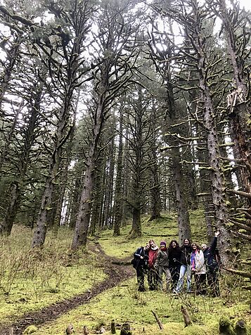picture of students in forest